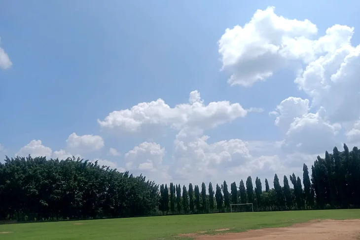 登录器 登录器